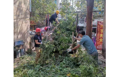 物业公司采取措施优化环境消除隐患