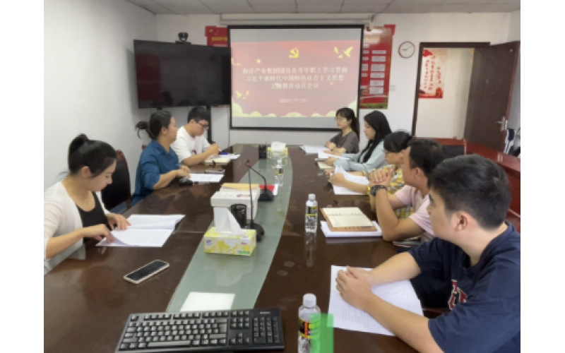 海洋产业集团团支部召开团员和青年主题教育动员会