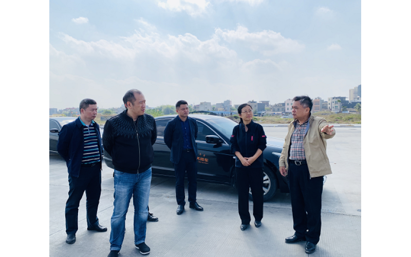 省国资委刘凤花副主任到儋州市政府就白马井地区规划等内容座谈和调研
