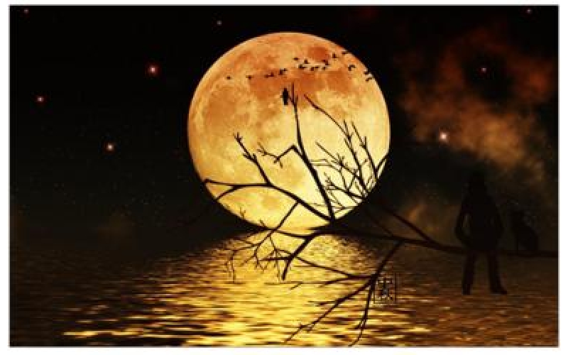 《中秋月夜思》  诗10首  作者：许文武  